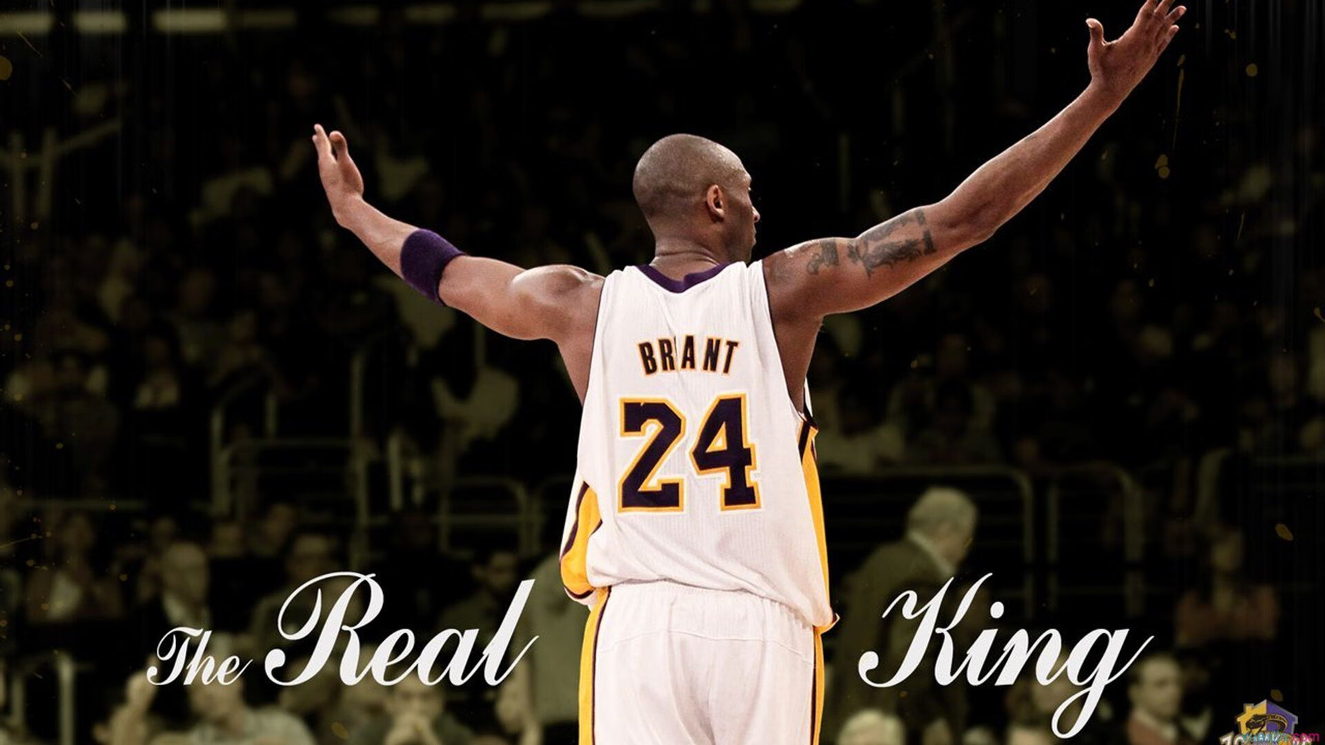 【罚分揭秘】裁判如何快速判断犯规点，确保比赛流畅，裁判的犯规手势